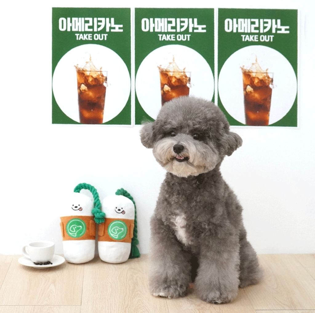 IMG_8259-1722493222944