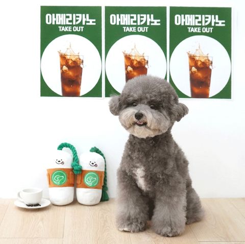 IMG_8259-1722493222944