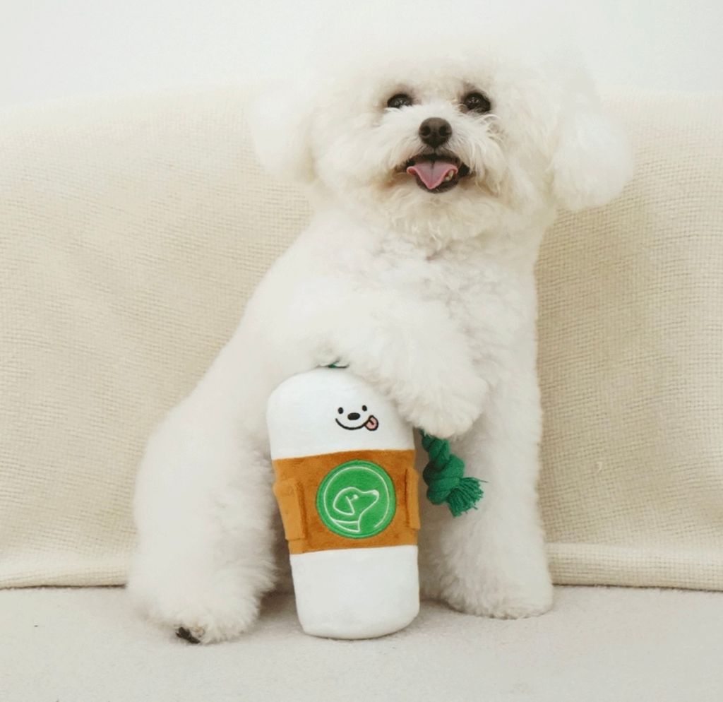 IMG_8261-1722493222950