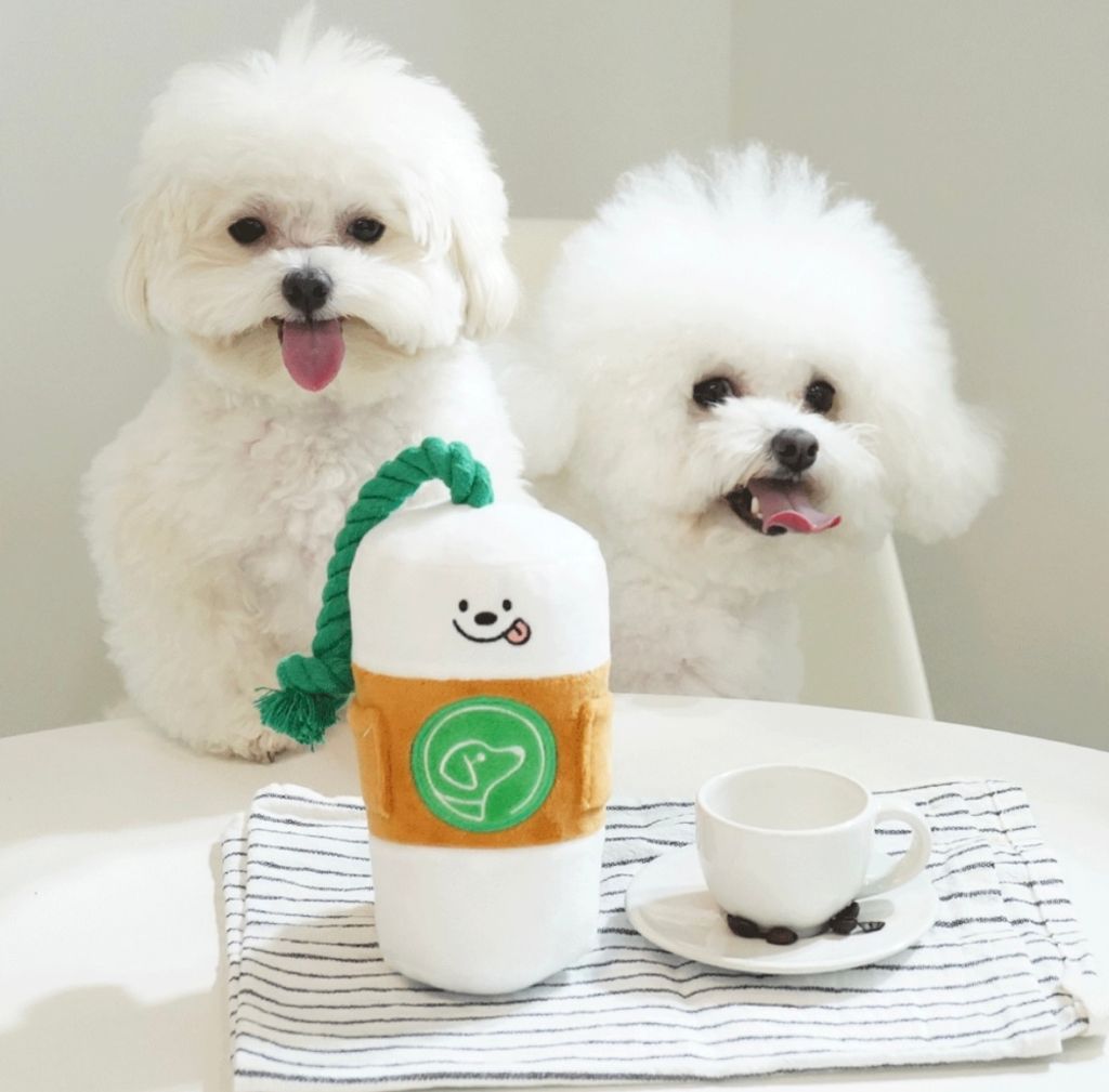 IMG_8262-1722493222957