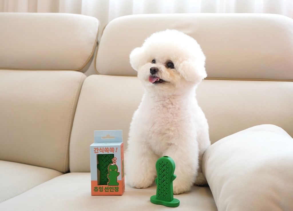 IMG_8264-1722493921230