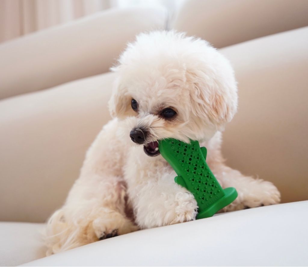 IMG_8265-1722493921236