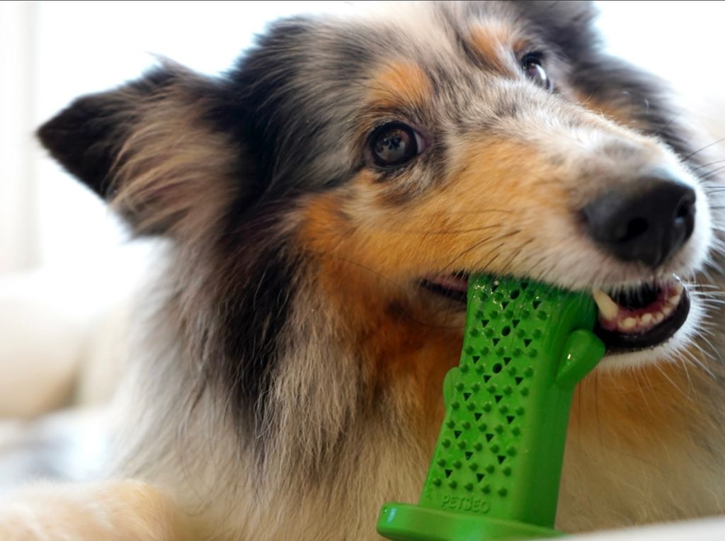 IMG_8266-1722493921245