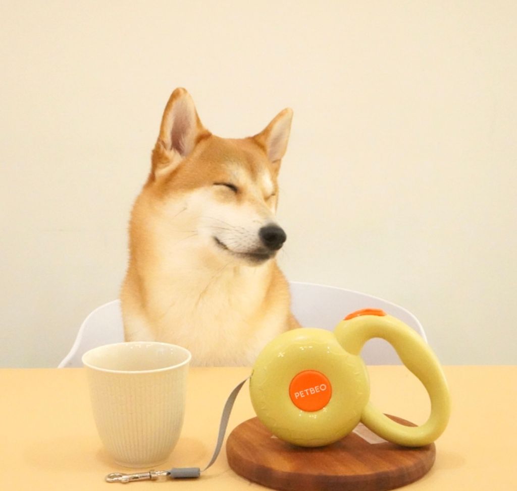 IMG_8272-1722500666795