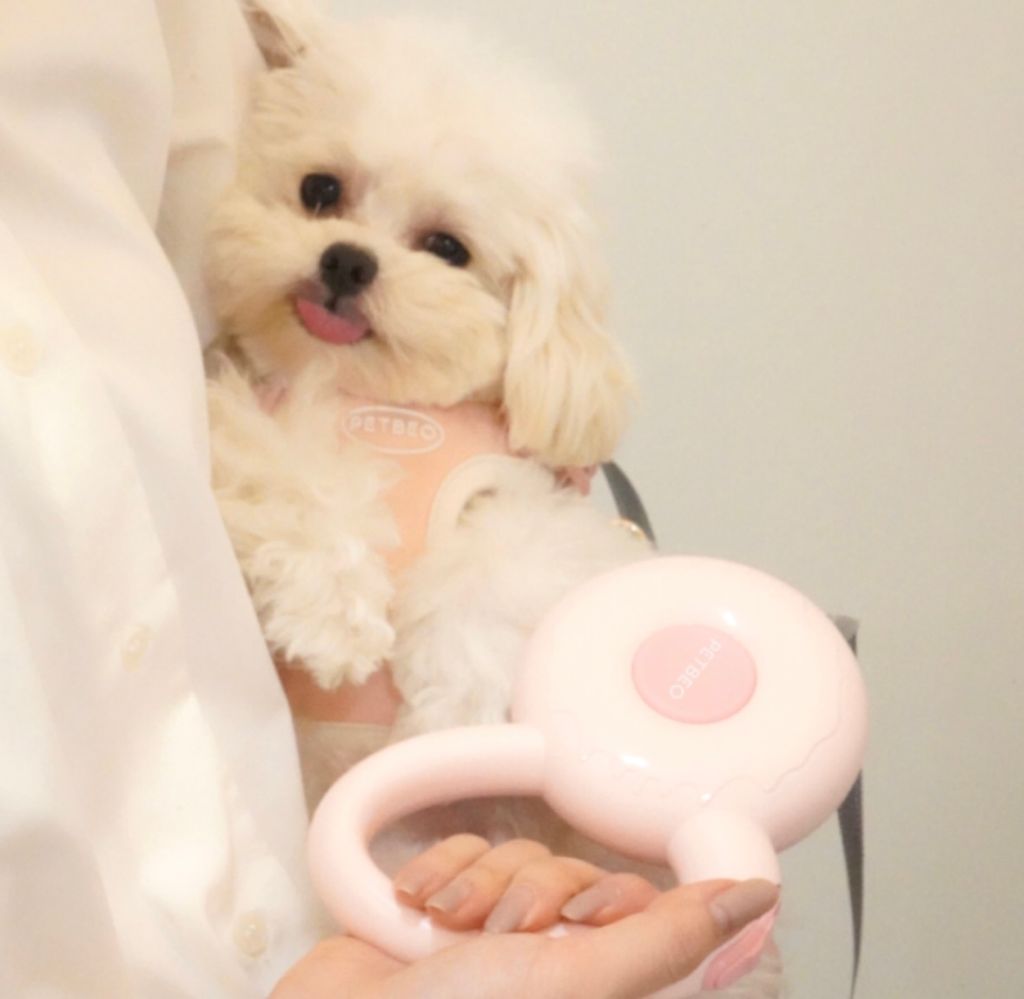 IMG_8271-1722500666803