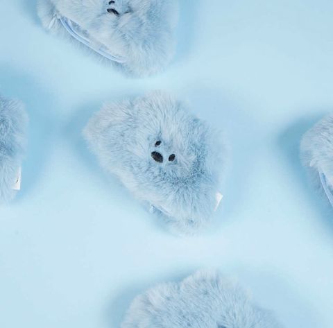 IMG_8282-1722501220286