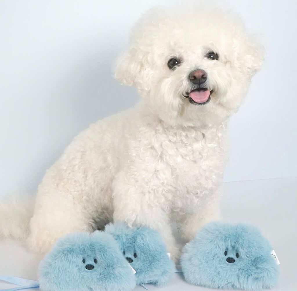 IMG_8283-1722501220292