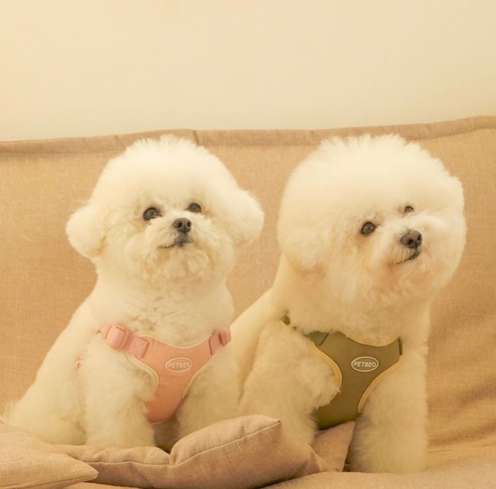 IMG_8302-1722505307961