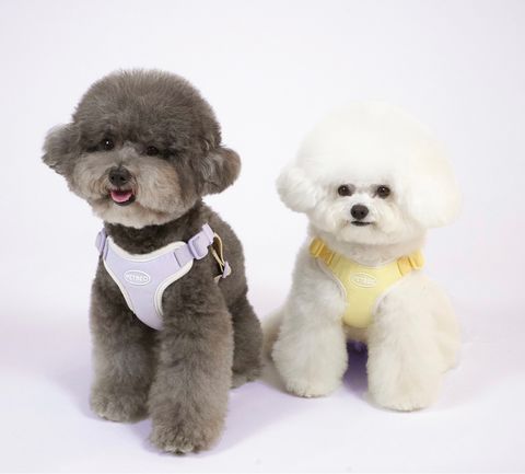 IMG_8299-1722505307973