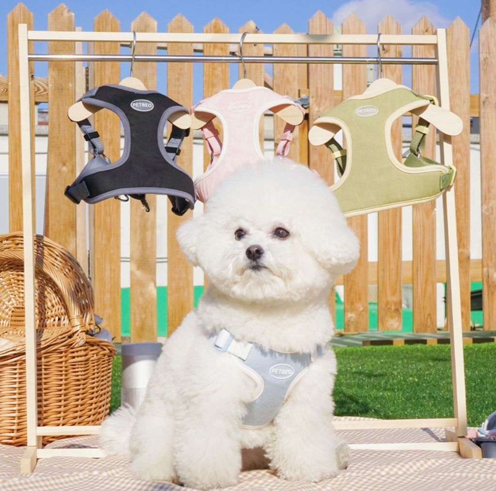 IMG_8300-1722505307980