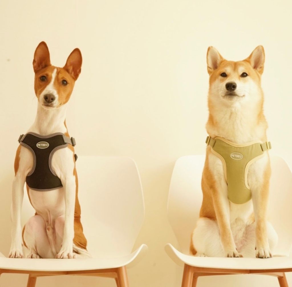 IMG_8304-1722505307986