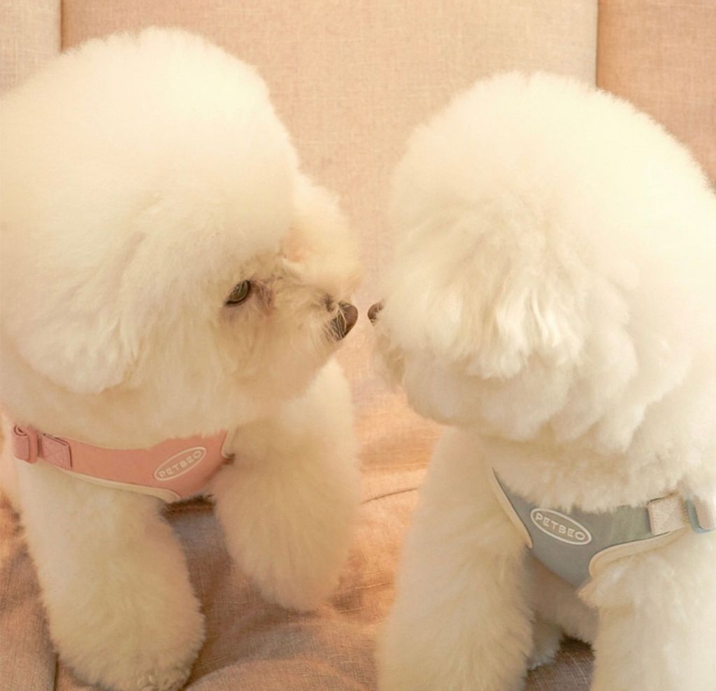 IMG_8301-1722505307995