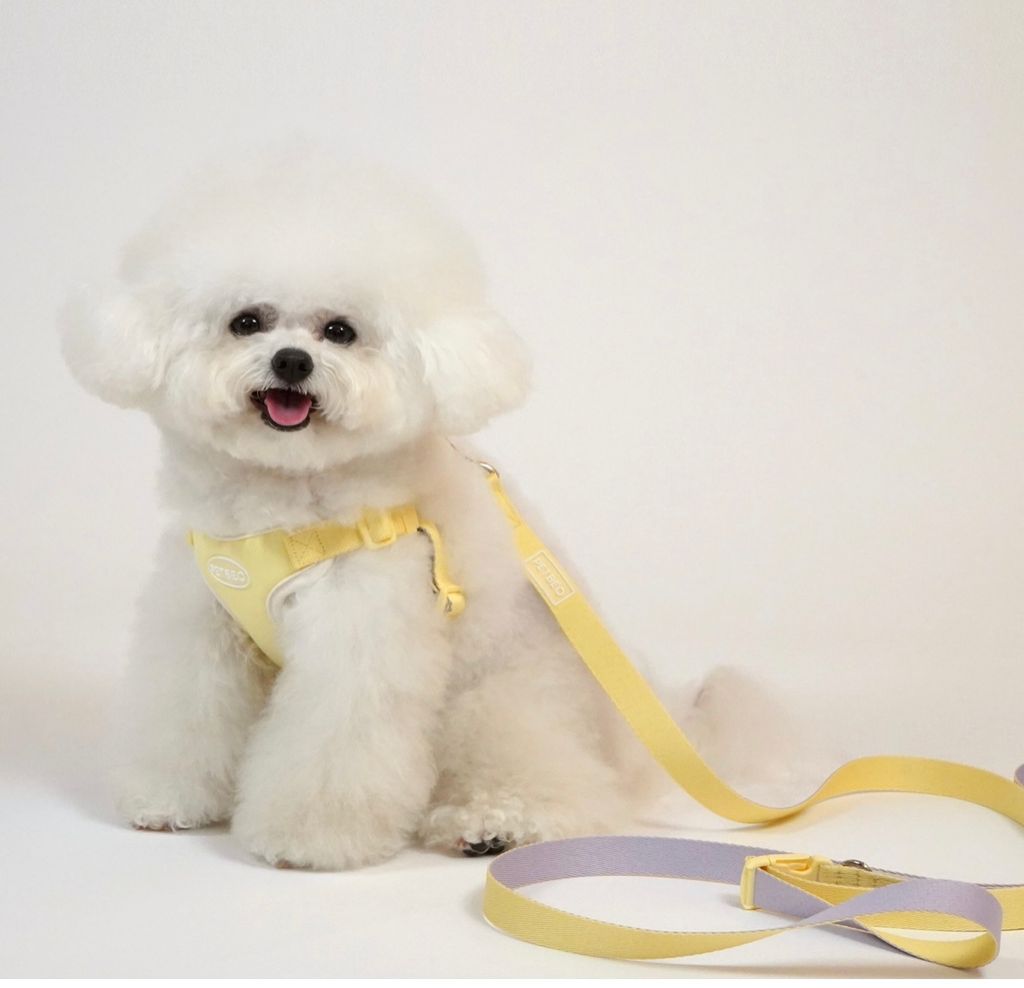 IMG_8303-1722505308003