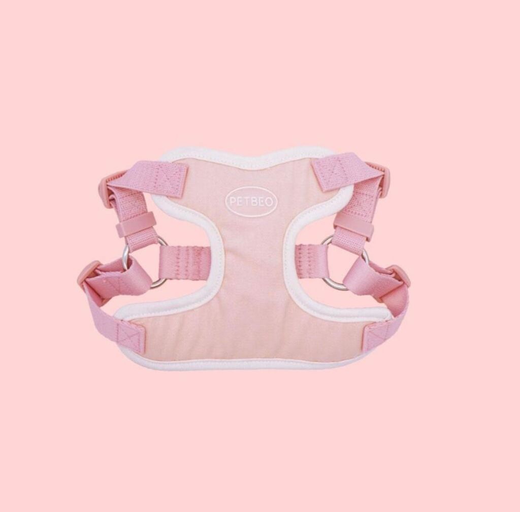 IMG_8306-1722505308018