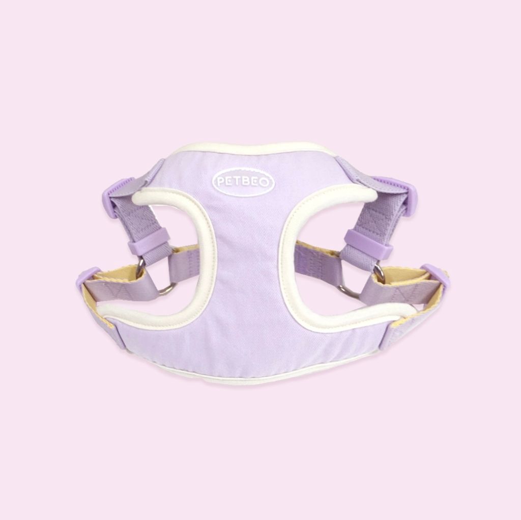 IMG_8307-1722505308026