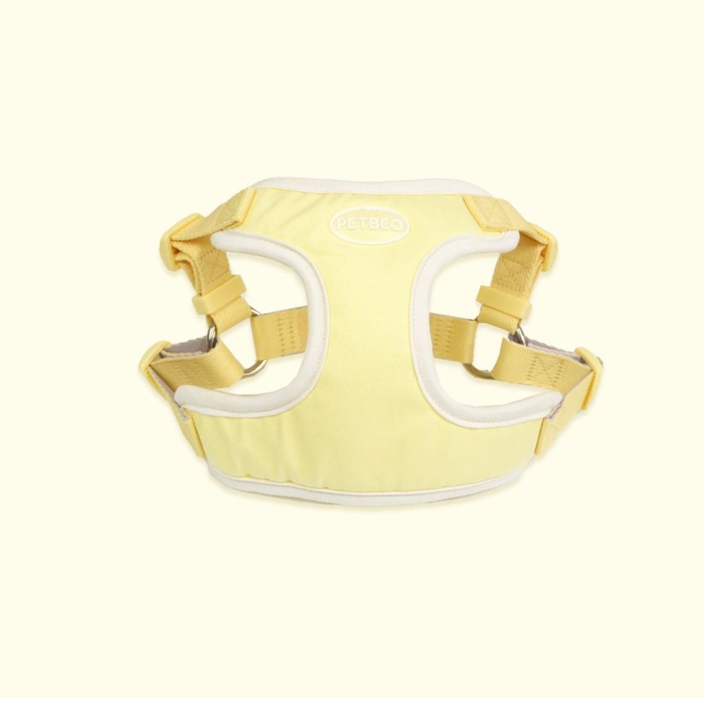 IMG_8308-1722505308034