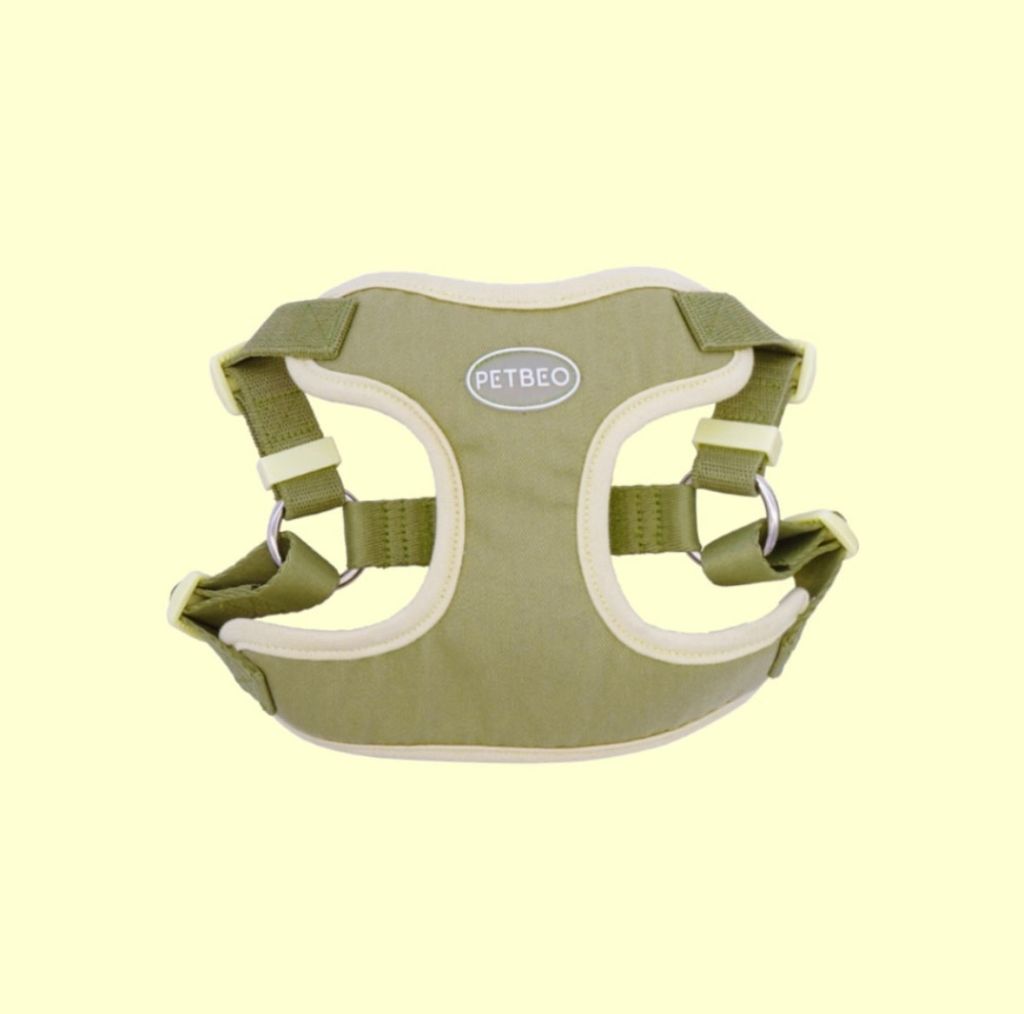 IMG_8309-1722505308041