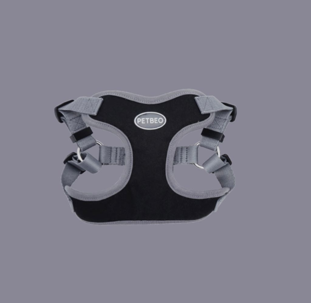 IMG_8310-1722505308048