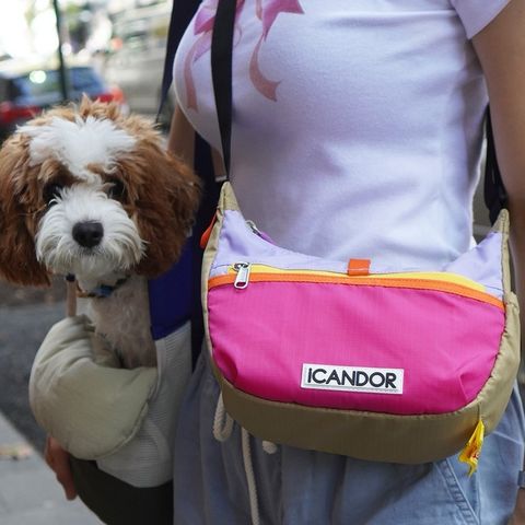 IMG_9929-1724465403451