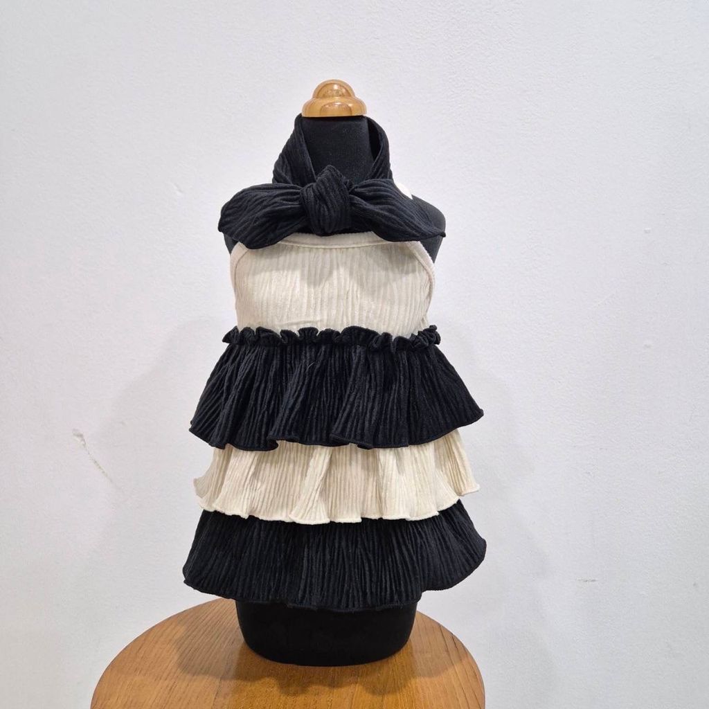 IMG_0966-1725955823759