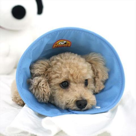 fd9038105ba1dfcd8acde0e69b1d22d7