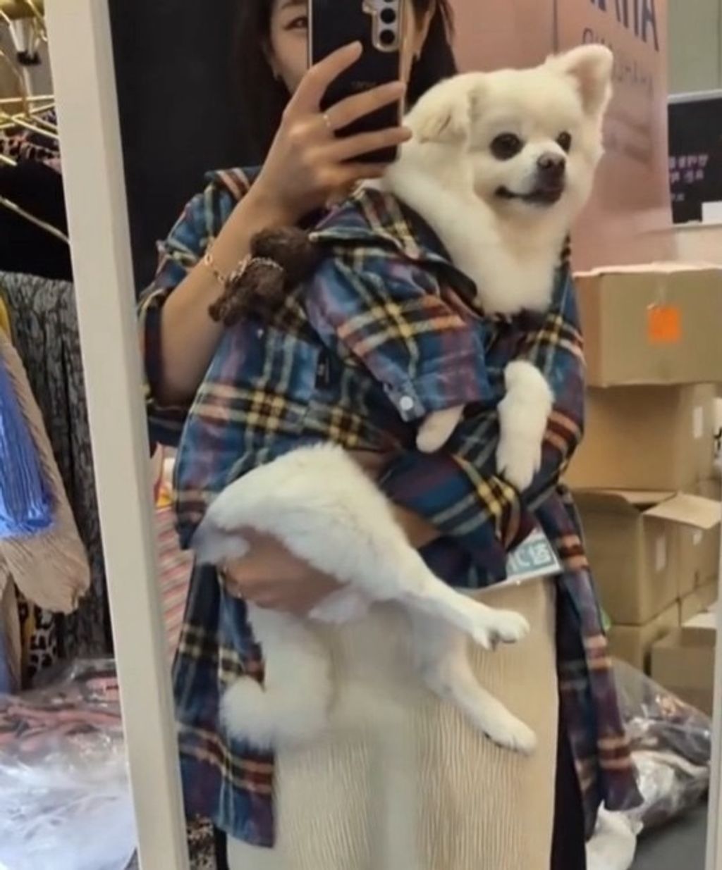 IMG_1031-1726046621016