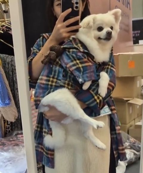 IMG_1031-1726046621016