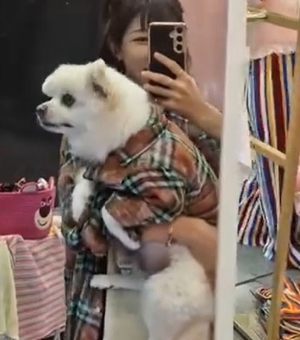 IMG_1032-1726046621012