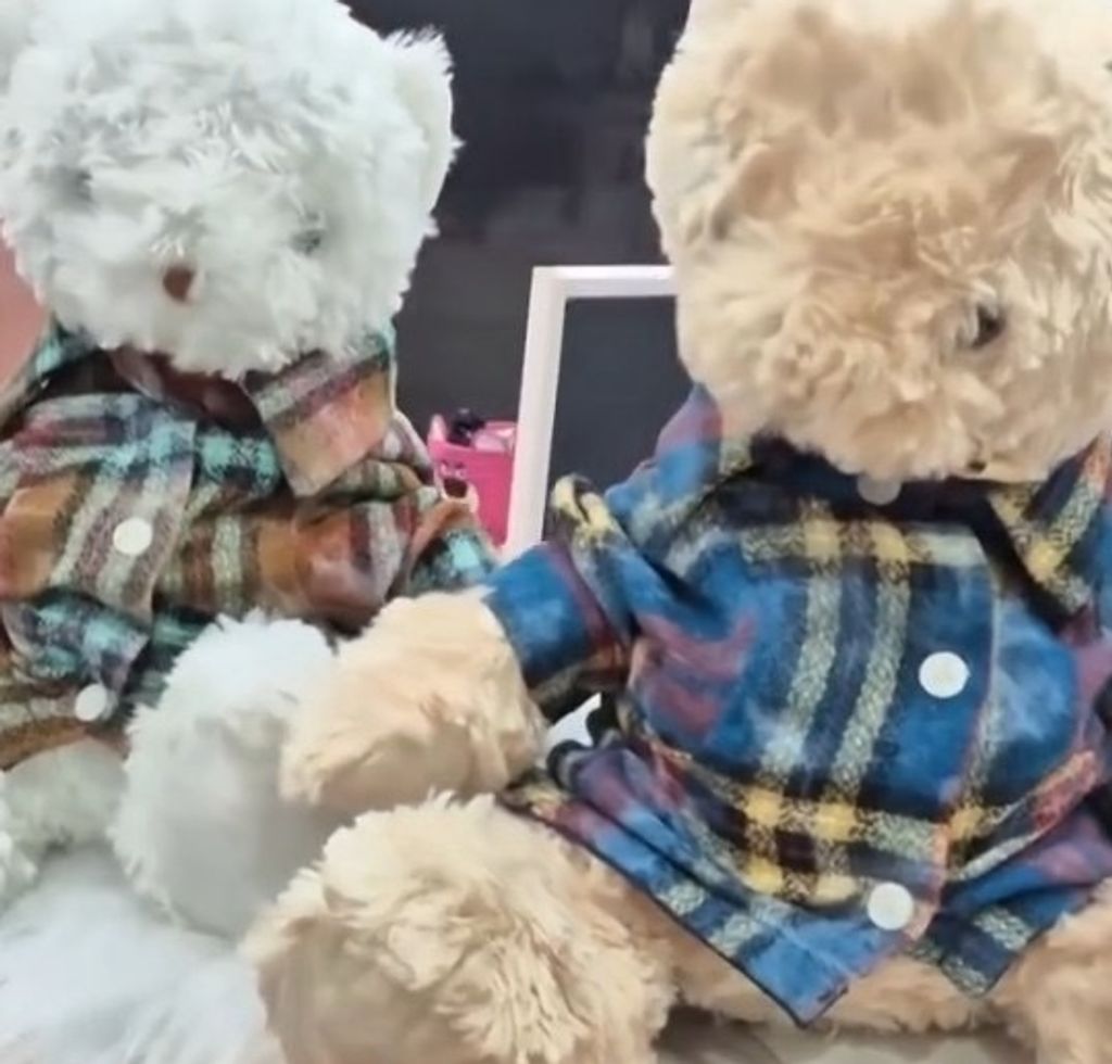 IMG_1033-1726046621020