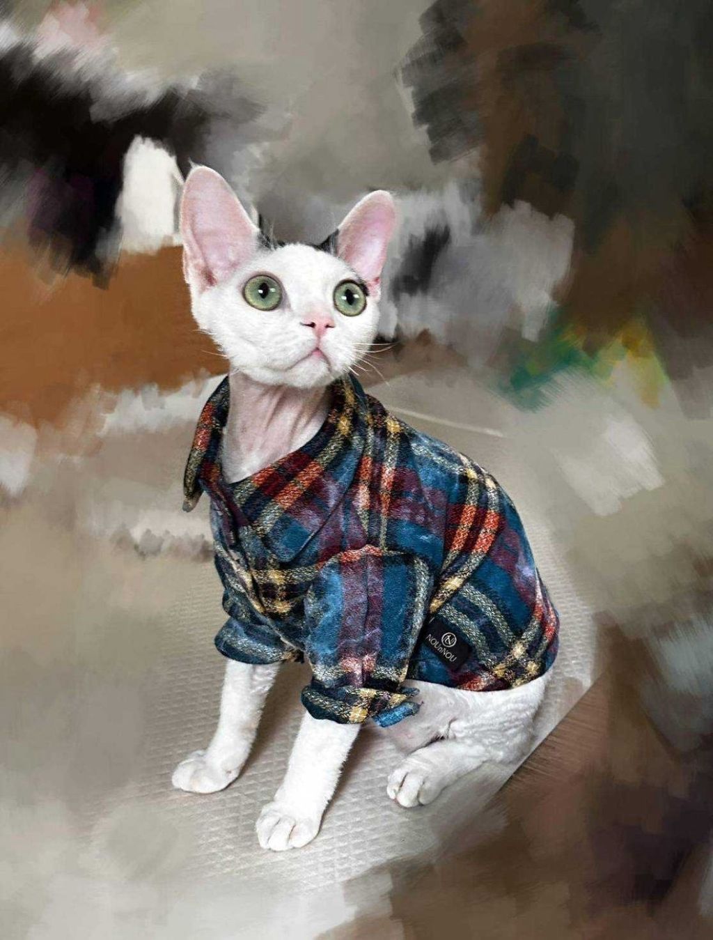 IMG_1037-1726046621033