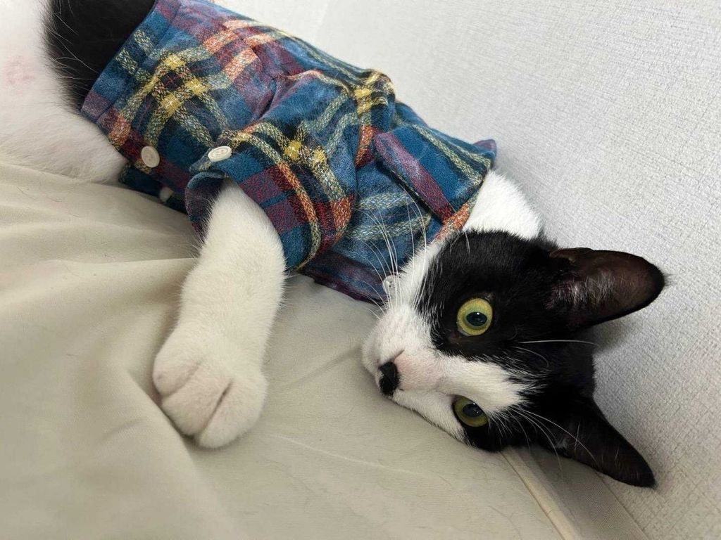 IMG_1036-1726046621041