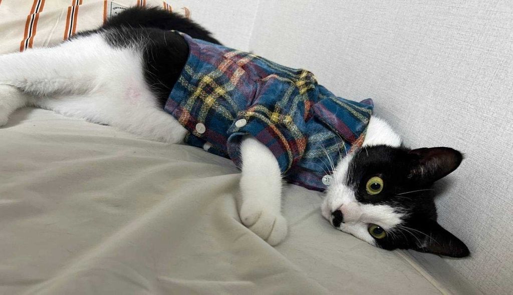 IMG_1035-1726046621052