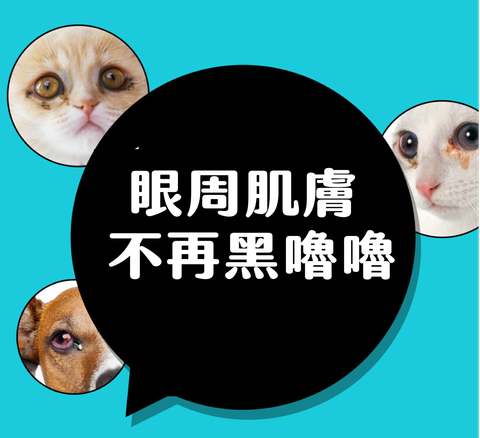 IMG_1263-1726223917407