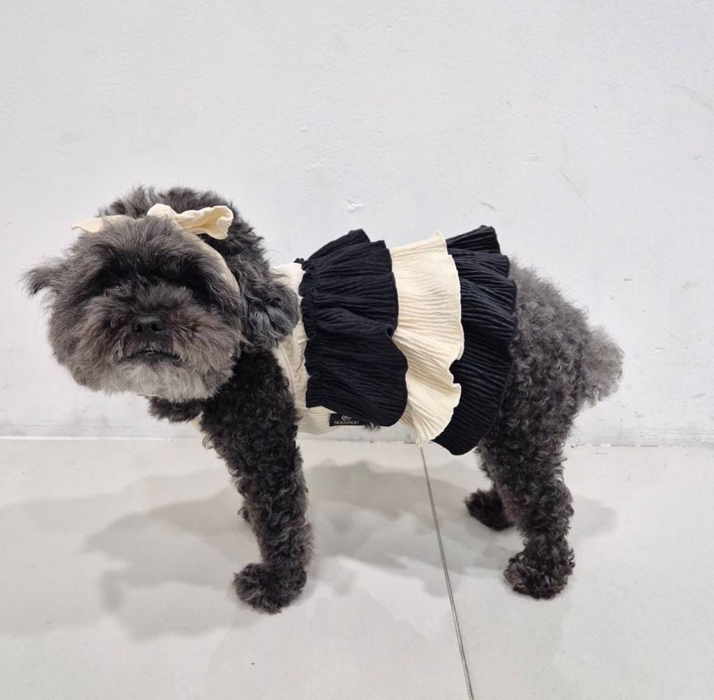 IMG_1360-1726451815157