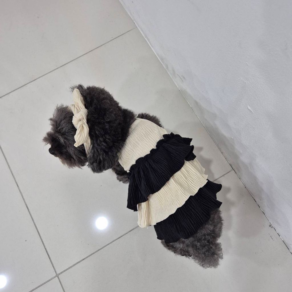 IMG_1361-1726451815165