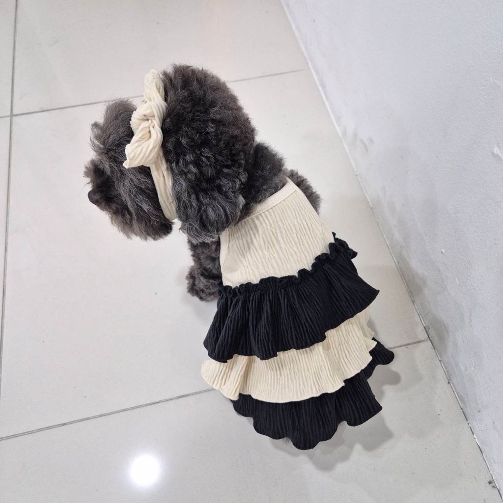 IMG_1362-1726451815174