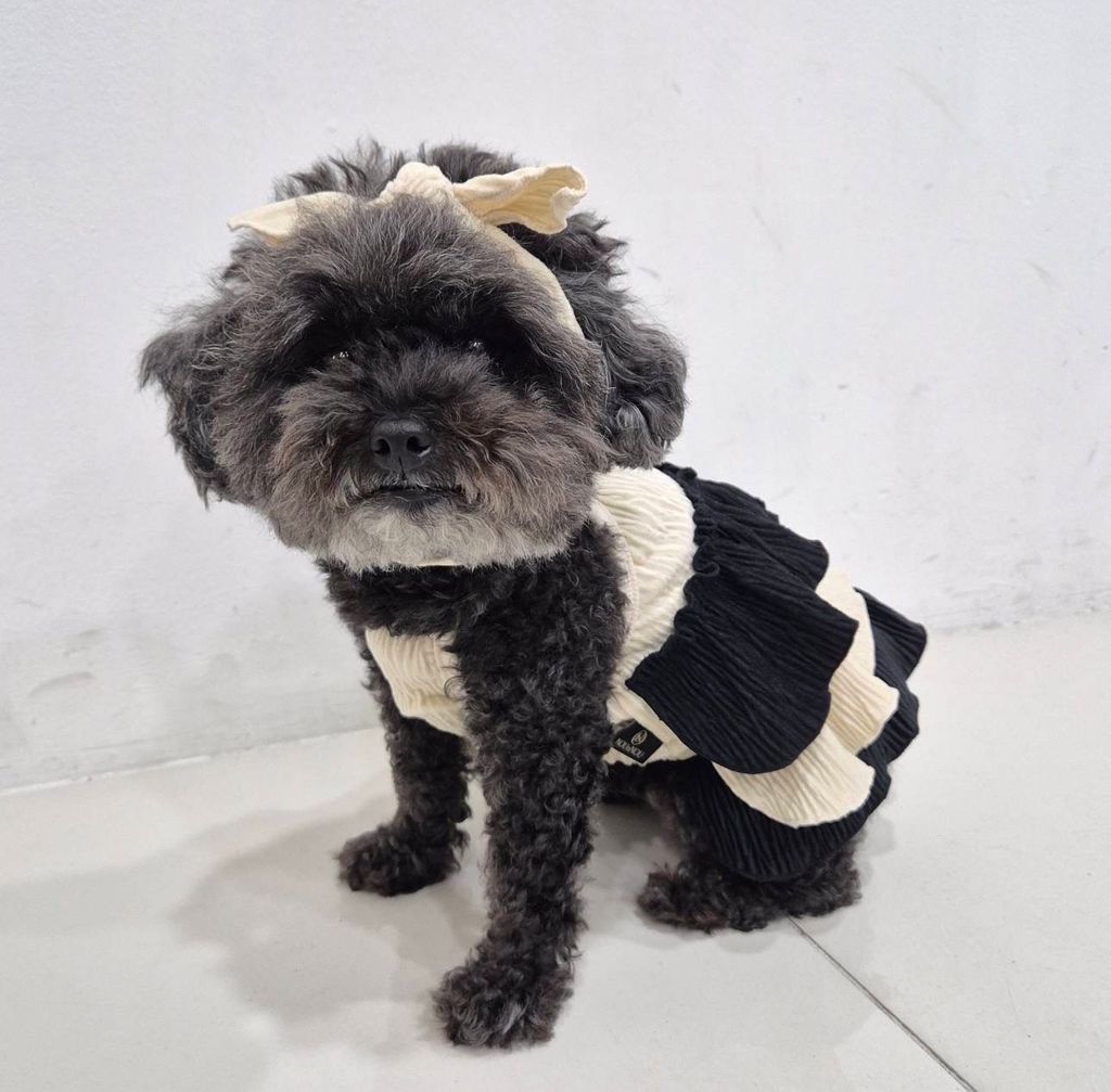 IMG_1345-1726451815217