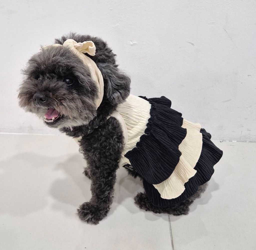 IMG_1344-1726451815225