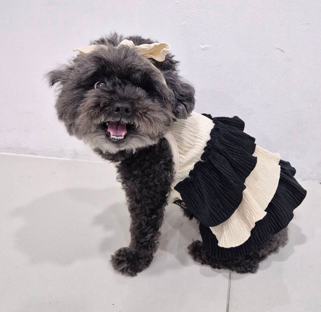 IMG_1343-1726451815233