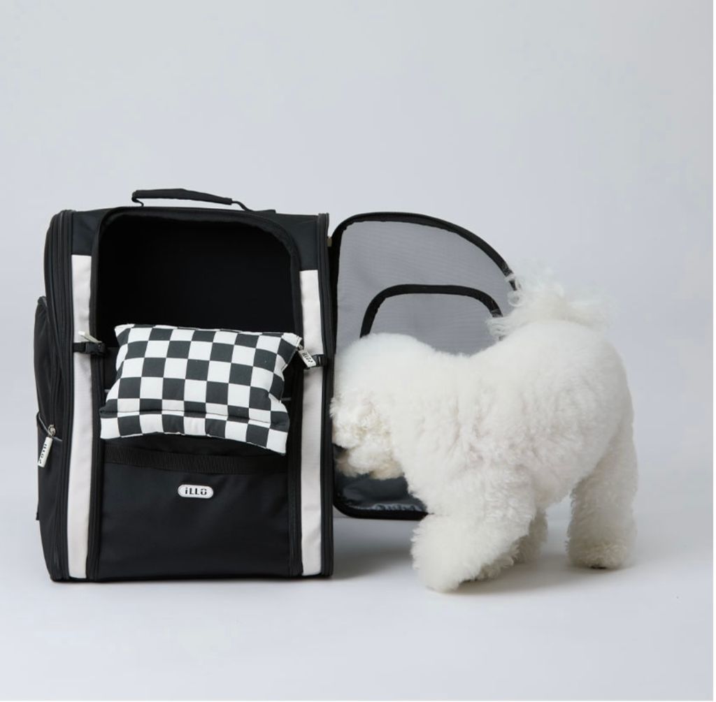 IMG_1374-1726459947794