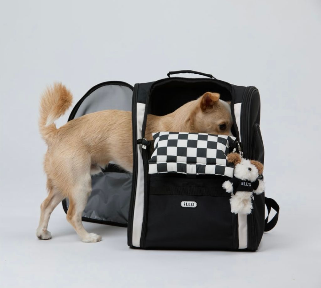 IMG_1375-1726459947799