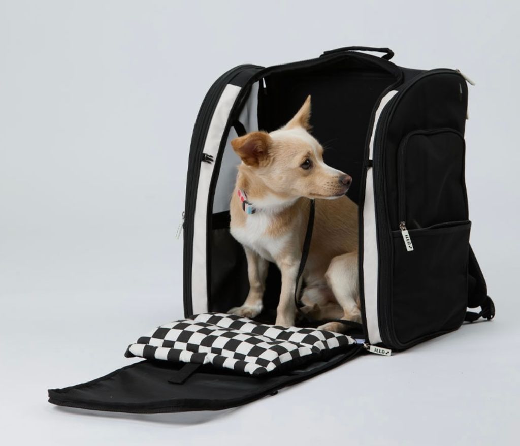 IMG_1378-1726459947824