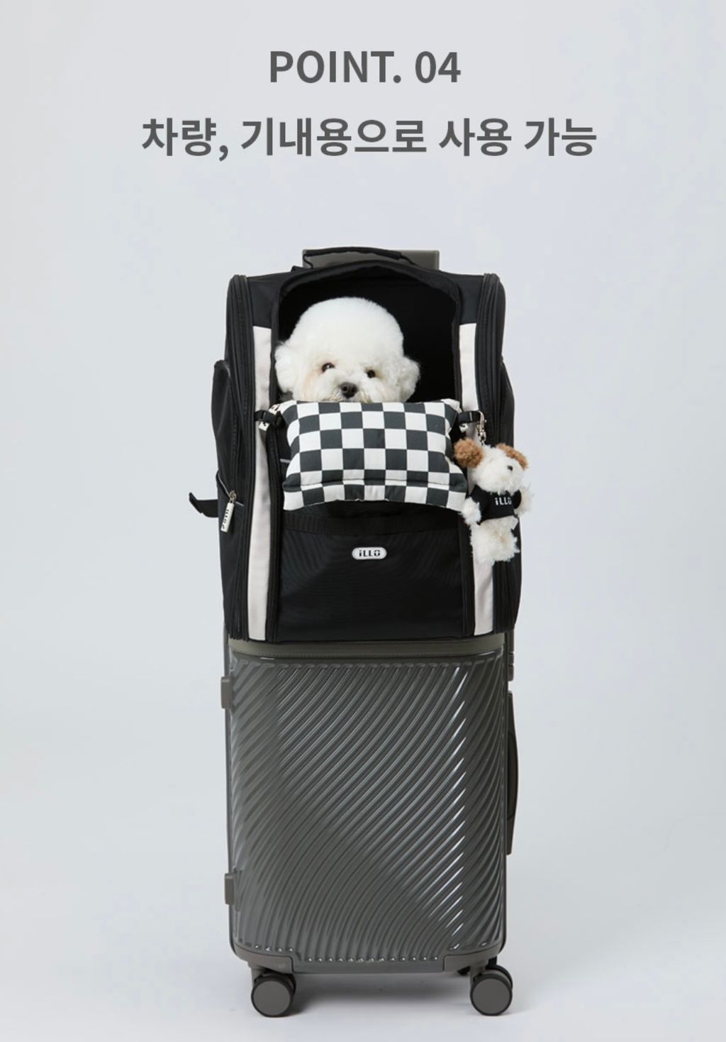 IMG_1382-1726459947846