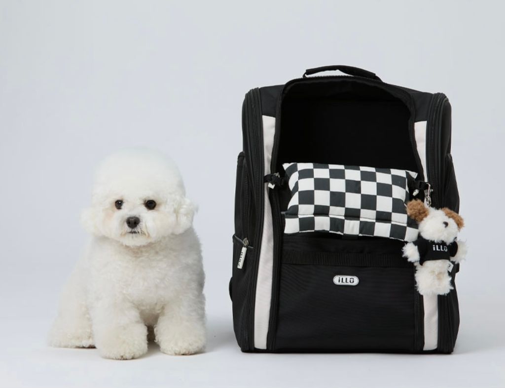 IMG_1386-1726459947868