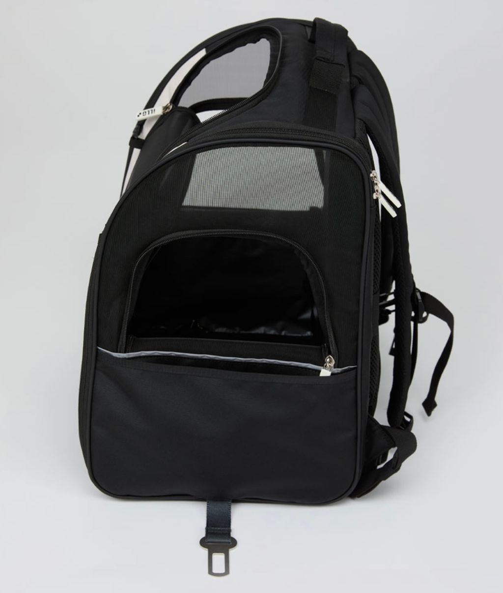 IMG_1384-1726459947876