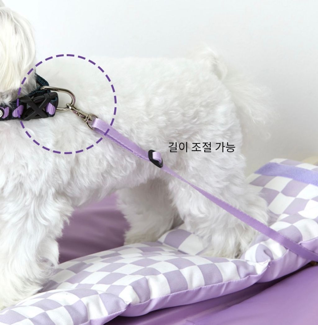 IMG_1408-1726460920734