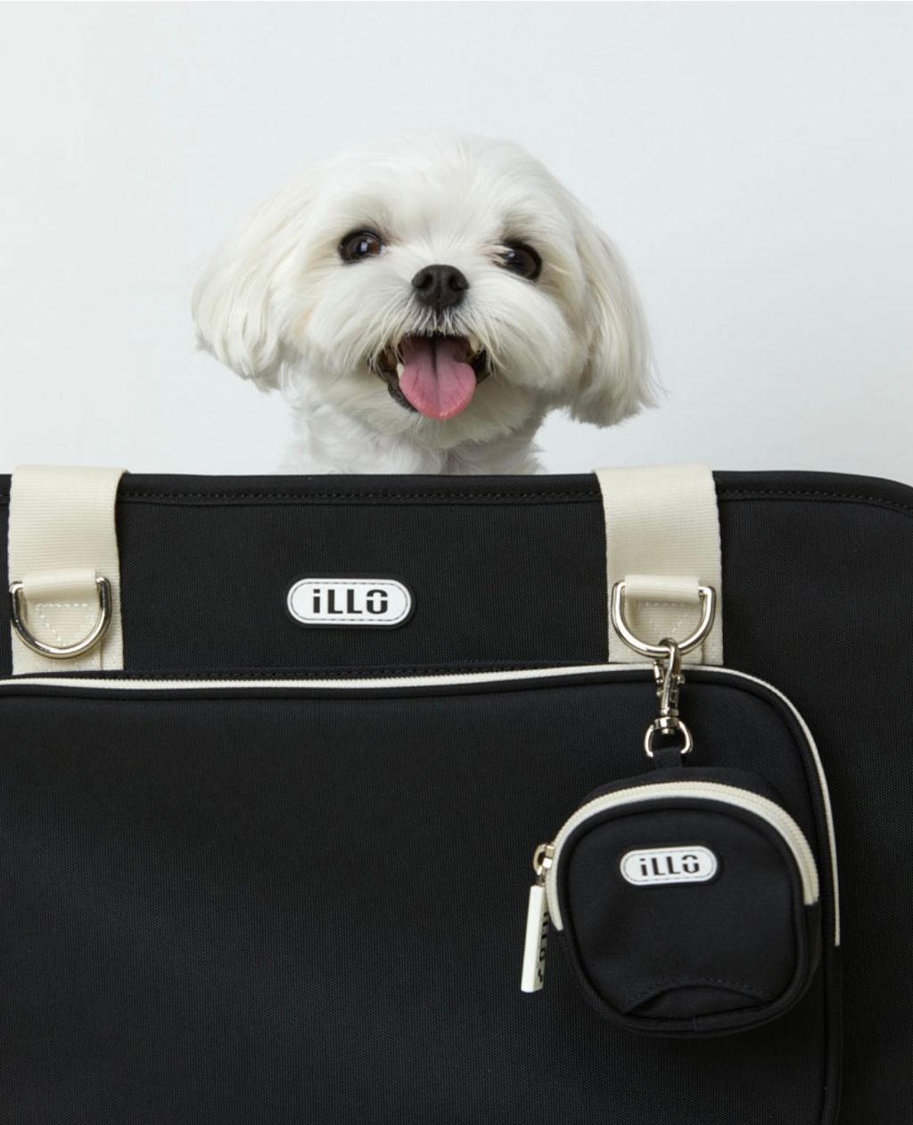 IMG_1412-1726460920758