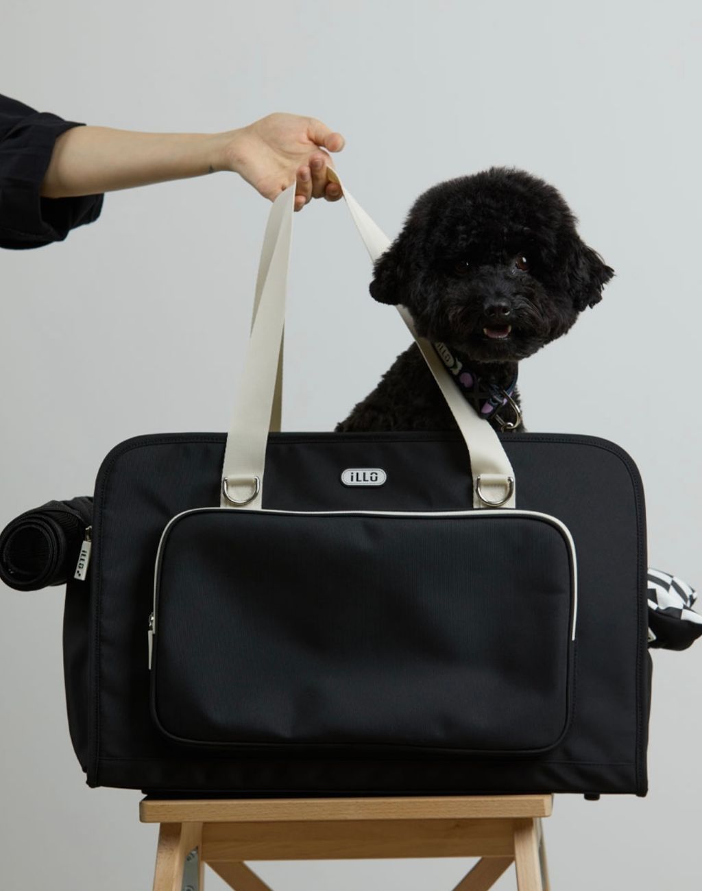 IMG_1413-1726460920766