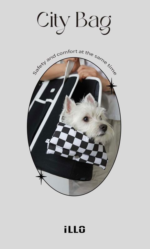 IMG_1417-1726461697271