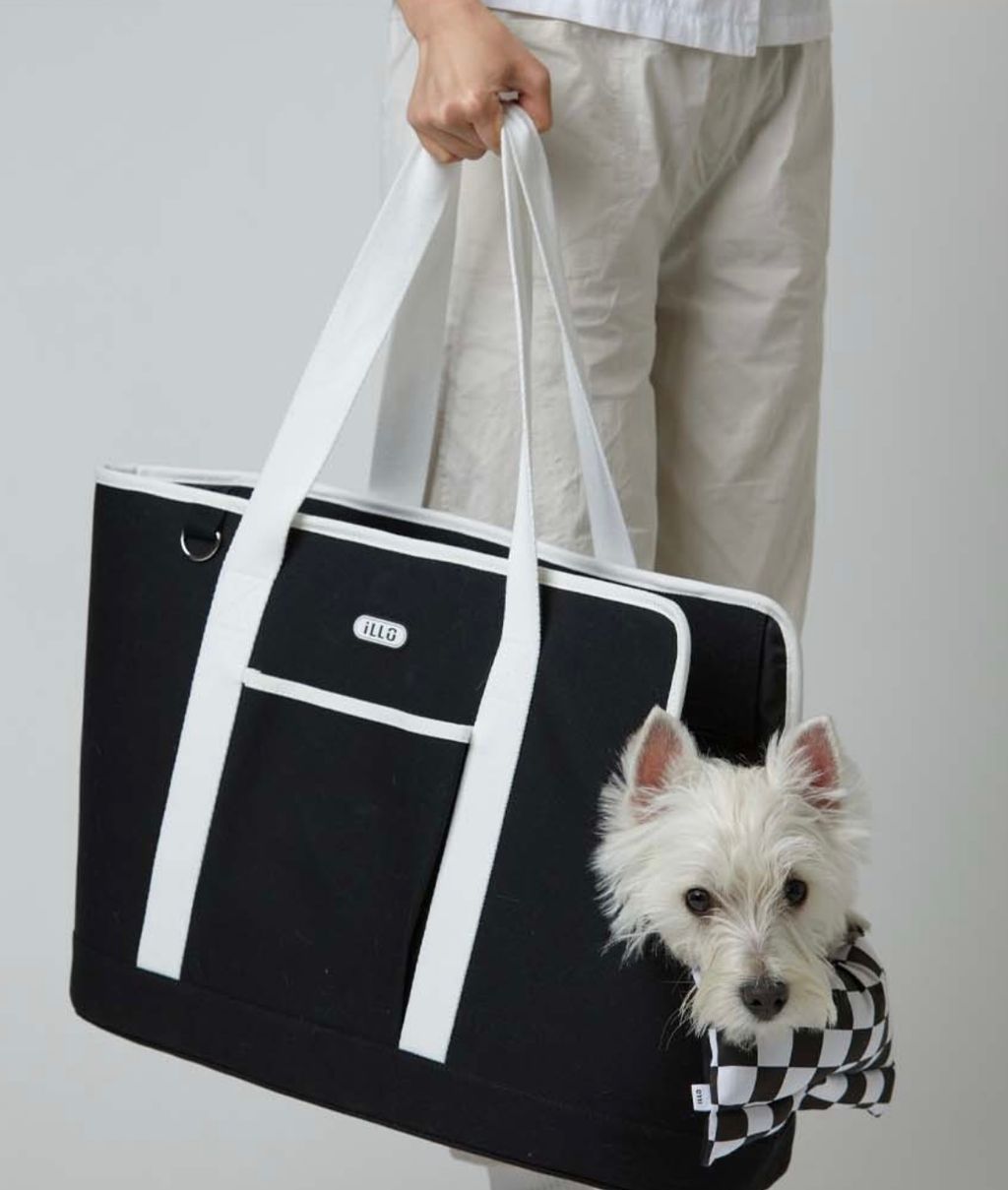 IMG_1421-1726461697282